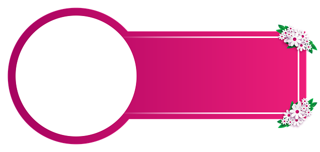 Pricing Schema Tag