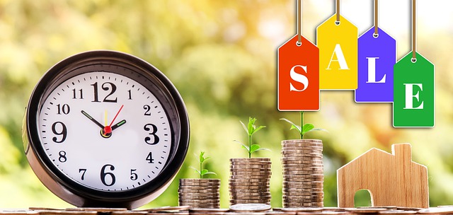 Pricing Schema Tag