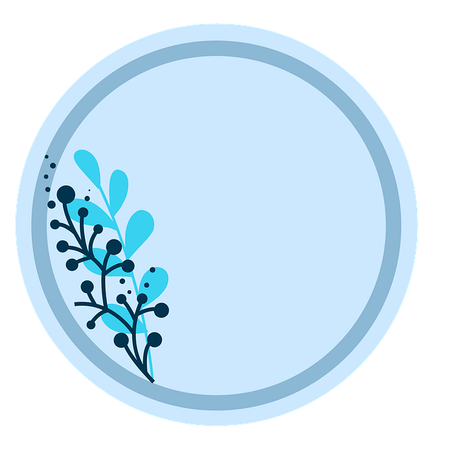 Pricing Schema Tag