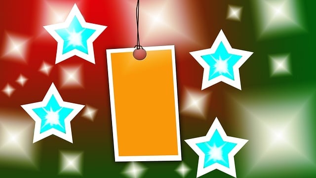 Pricing Schema Tag