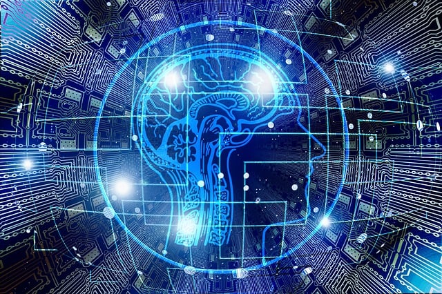 Product Structured Data