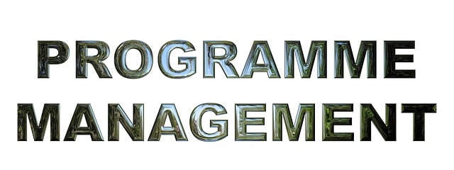 Professional SEO Programs
