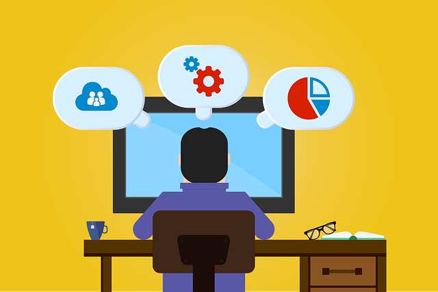 Professional SEO Programs
