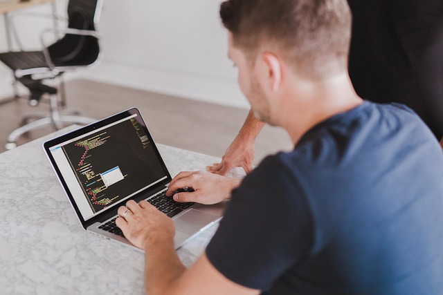 Professional SEO Programs