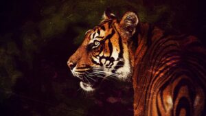 Unraveling PTSD Treatment: Comprehensive Therapeutic Approaches for Healing
