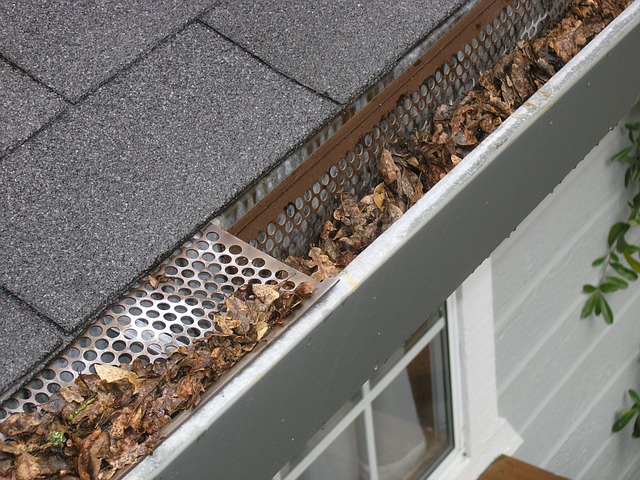 PVC roofing systems near me