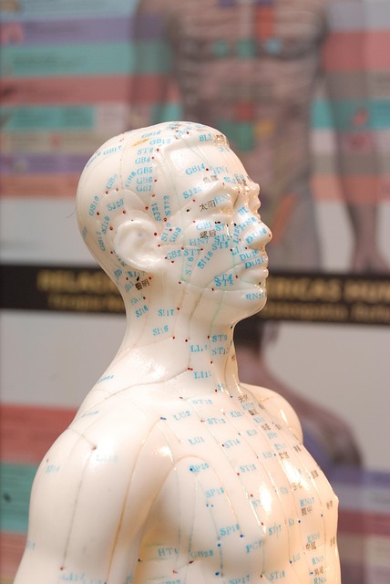 reproductive acupuncture