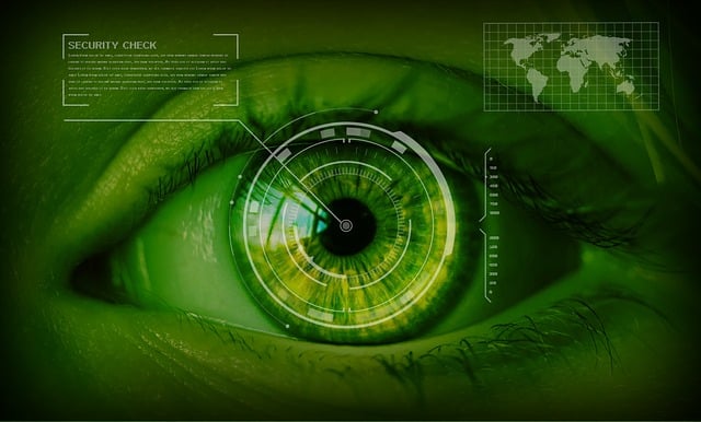 Review Structured Data