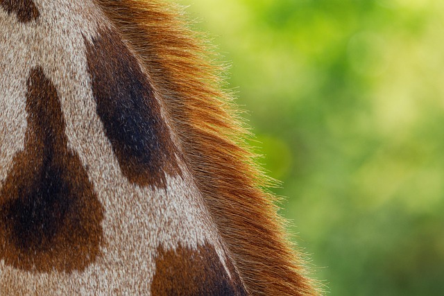 RF Skin Resurfacing