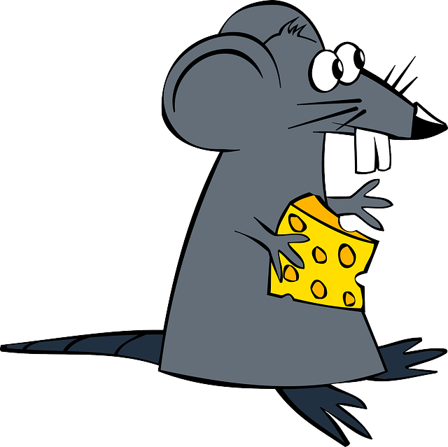 Rodent Control