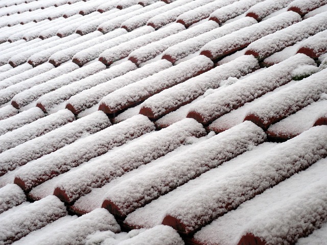roof coatings company