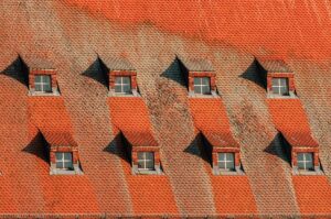 Roof Inspection Services: Essential for Business Compliance and Safety