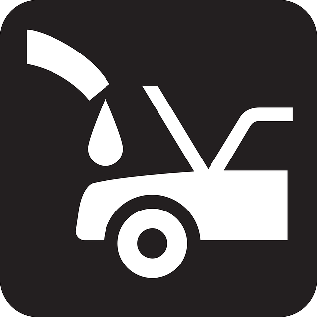 roof inspection service services