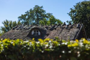 Revitalize Your Roof: Restoration Services for Aging Shingles