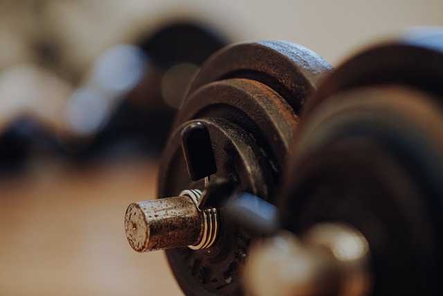 Rybelsus weight management