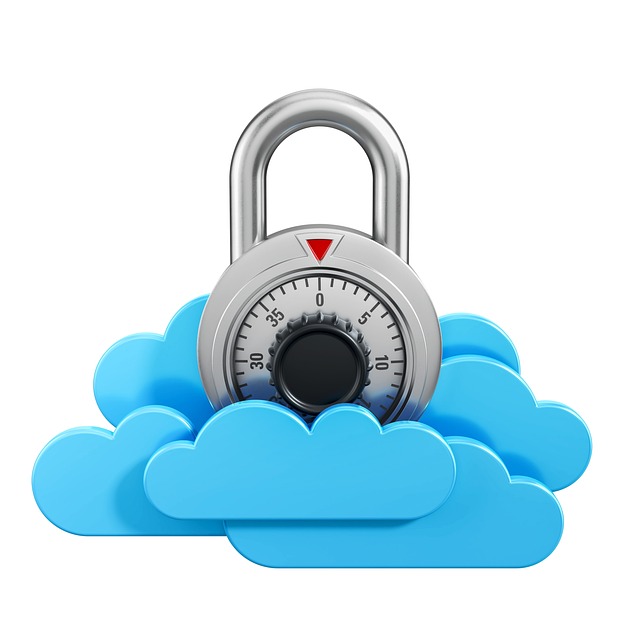 secure cloud storage CPAs