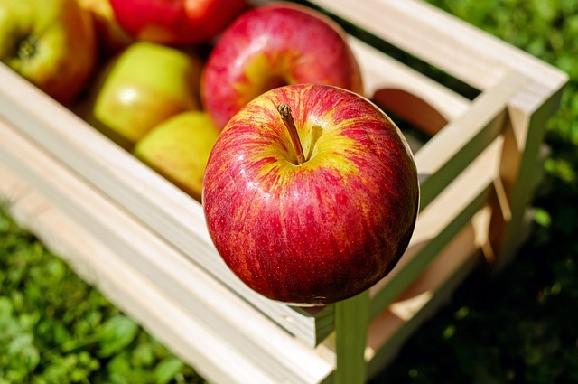 semaglutide diet program