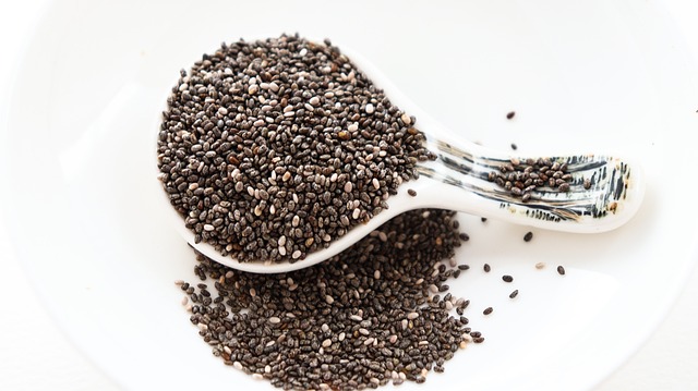semaglutide diet program