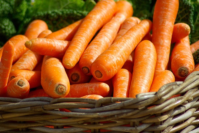 semaglutide diet program