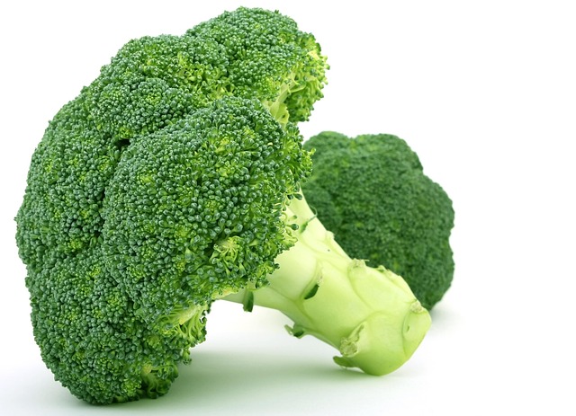 semaglutide diet program