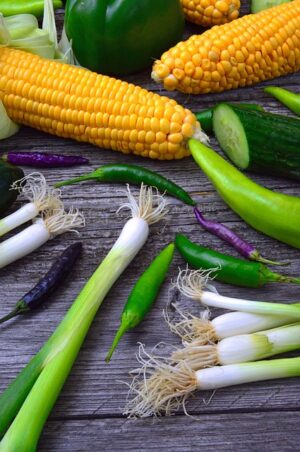 Semaglutide for Weight Loss: Personalized Plans & Long-Term Success