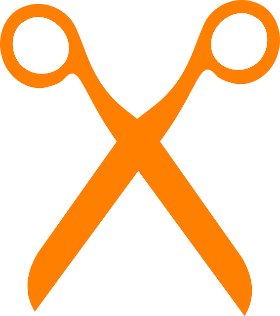 SEO Basics