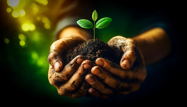 SEO-friendly site development