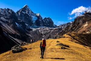 Global Search Insights: Strategies, Trends, & Future Predictions from SEO Summit