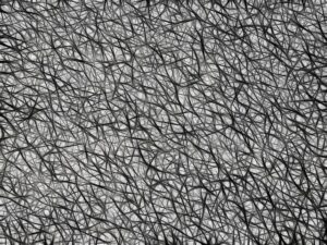Internal Linking: Boost SEO with Structured Site Architecture