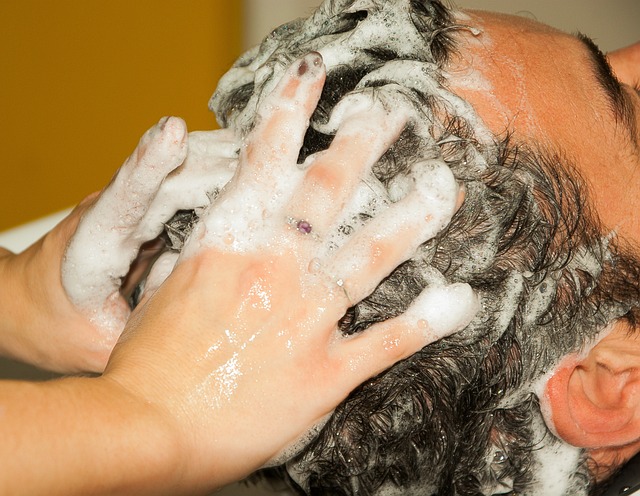 shampoo carpet service