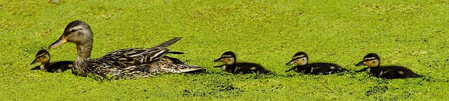 Small Business Insurance