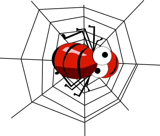 small business web designers