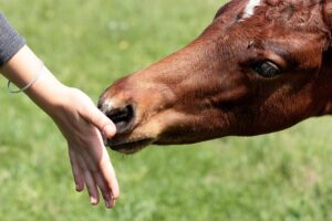 Mastering Smart Internal Links: Strategies for Optimal User Experience