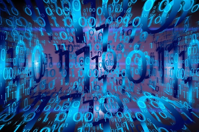 software support accounting