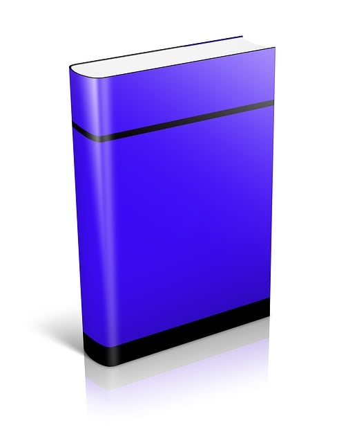 software support accounting