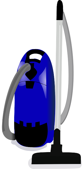 stain removal carpet cleaners