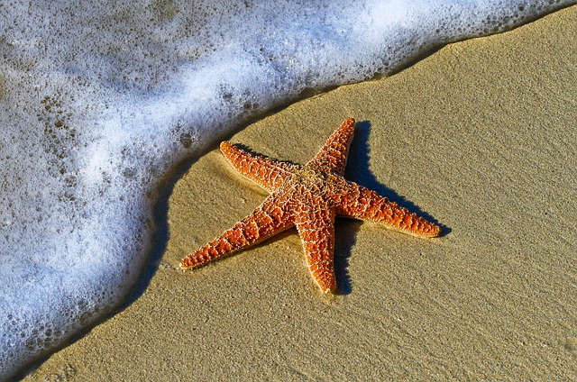 Star Rating Markup