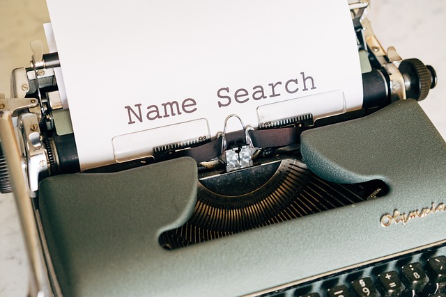 startup website SEO experts