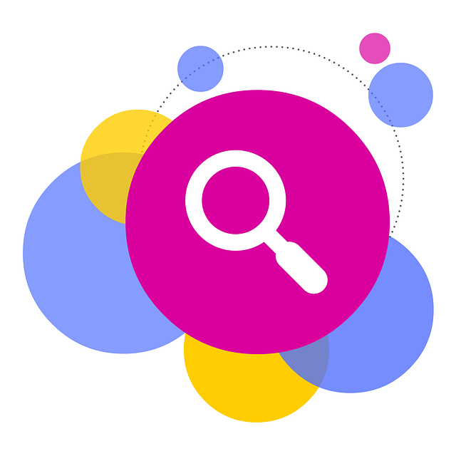startup website SEO experts