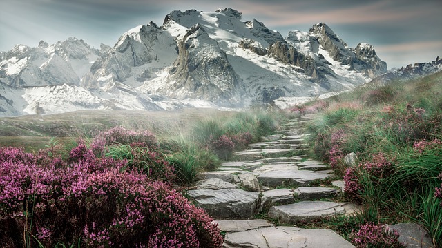 Step-by-Step Schema