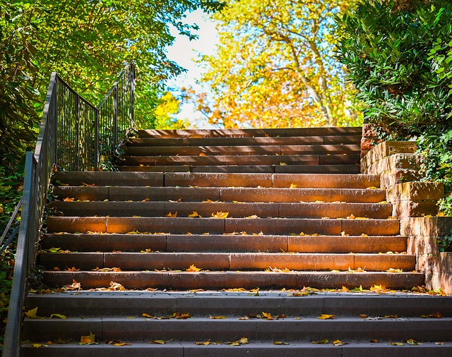 Step-by-Step Schema
