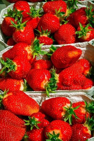 Unveiling Full Spectrum: Benefits, Products, and Strawberry Rosin Gummies