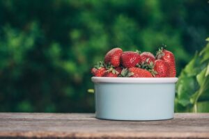 Strawberry Rosin Gummies: Revolutionizing Medicinal Consumption through Precise Dosing