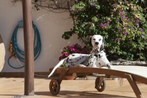 Mindfulness Therapy in Mesa, AZ: Holistic Stress Relief & Depression Treatment