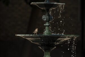 Stress Relief in Chandler, AZ: Cognitive Techniques for Lasting Well-being