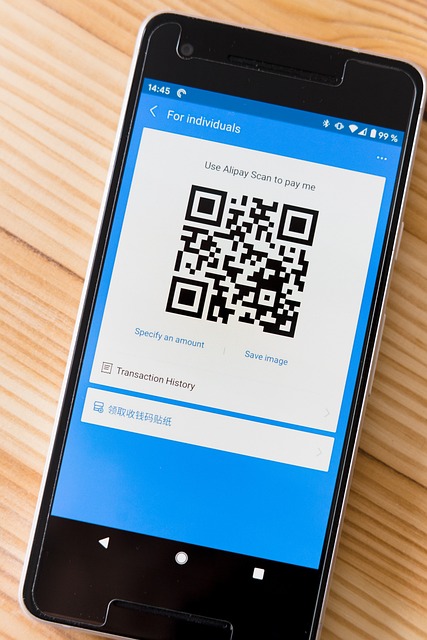 support payment mediation