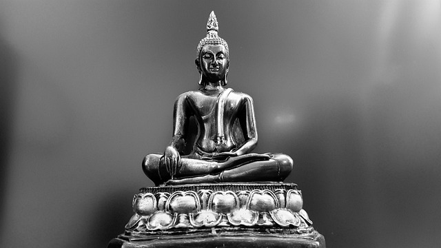 tailored insurance for med spas