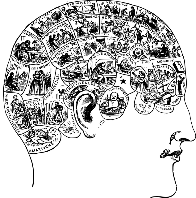 Terpene Profile Chart