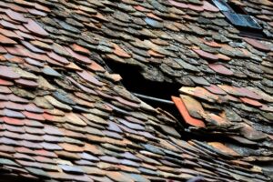 TPO Roofing Systems: Energy Efficiency, Durability & Cost Savings for Businesses