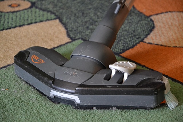 trusted carpet cleaning company
